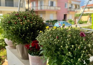 Theoxenia Paralio Astros
