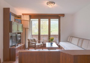 This cozy chalet vacation apartment is located on the 1st floor and comprises 35 m2 of living comfor