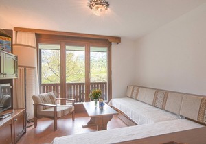 This cozy chalet vacation apartment is located on the 1st floor and comprises 35 m2 of living comfor