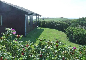 Three-Bedroom Holiday home in Humble 13