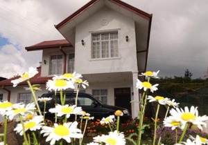 Thuring's Holiday Bungalow