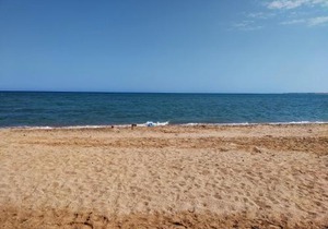 Tiba View