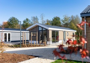 Tidy chalet with dishwasher, near the river Maas