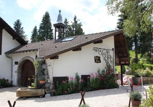 Tidy chalet with dishwasher, in the High Vosges