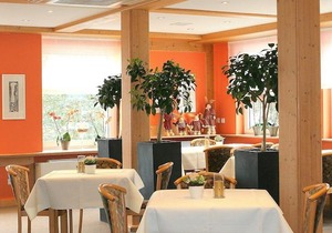 TIPTOP Hotel Hirt