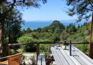 Torea Cabin - Ao Marama Retreat - Stunning Bush setting and Ocean Views