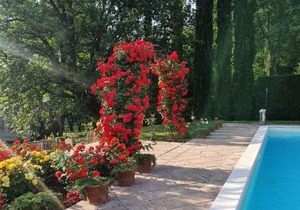 Torre Del Cielo
