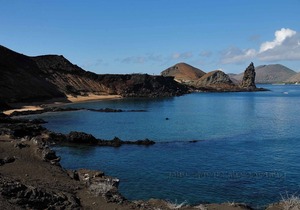 Torre Mar Galapagos Ocean View 8 bedroom Property