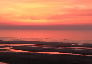 Très belle vue en front de mer