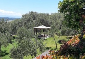 Traditional Villa Fioretta