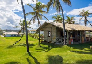 Tree Bies Resort - Oficial