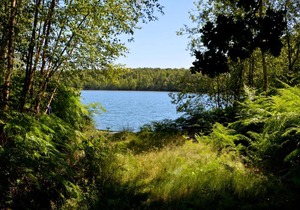 Treeloft adventure in nature for 4 people 17