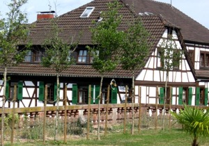 Triple Room No. 26 - Goldner Engel, Restaurant - Hotel - Butcher
