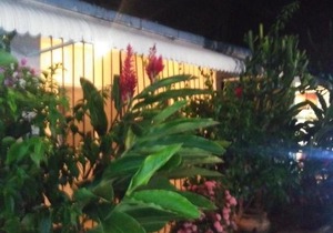 TRONCO INN STUDIO