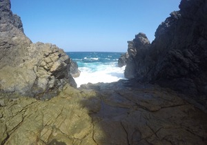 Tropical Hideout