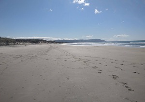 Tuis Nest - Bowentown Holiday Home, BOWENTOWN