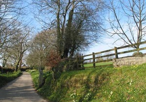 TUMROSE COTTAGE, pet friendly, country holiday cottage in Blisland
