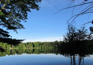 Turtle Cove on Town Lake Cabin