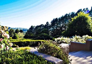 Tussie Mussie Vineyard Retreat Lodge