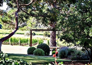 Tussie Mussie Vineyard Retreat Lodge