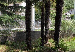 Two bedroom apartment with terrace Mošćenička Draga, Opatija (A-2327-b)