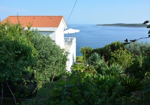 Two bedroom apartment near beach Milna, Vis (A-8944-a)