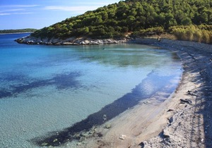 Two bedroom apartment near beach Milna, Vis (A-8944-a)