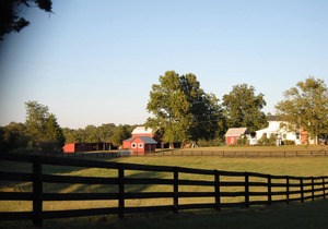 Two Bedroom One Bath Cottage On 250 Acre Cattle Farm.