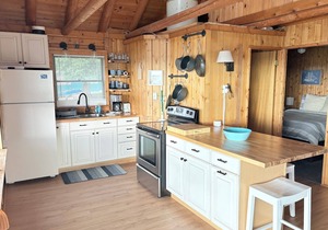 Two lakefront cottages, 158 feet of frontage on Bear Lake