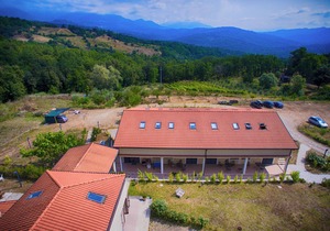 Two-room apartment with a patio just steps from Palinuro in the countryside Cilento "4"