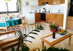 Two very large, bright apartment with private garden, pool and grill