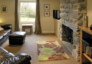 Tyn Llwyn, EISINGRUG