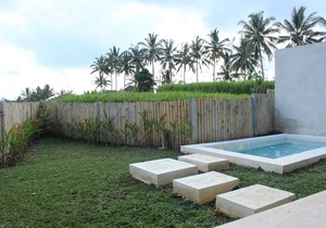 Ubud Private Pool Villa Rice field View