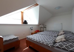 Ubytování Vila Sobotka
