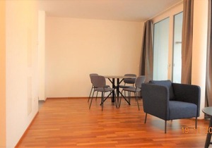 UNITED NATIONS VIENNA APARTMENT 4