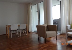 UNITED NATIONS VIENNA APARTMENT 12