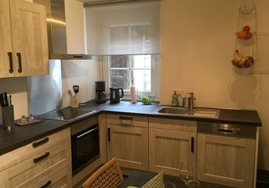 "Unterm Blauregen" - 1-Raum-Ferienwohnung im alten Ortskern
