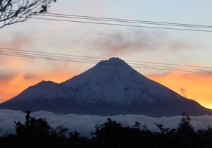 Unwind @ Taranaki Chic Eco Studio