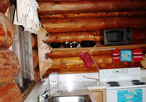 Upper Paradise Log Cabin - Nightly Rental in the Woods