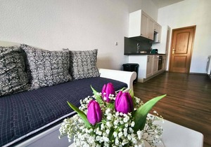 Vacation apartment/apartment for 3 guests with 38m² in Mühlhausen/Thuringia (68425)