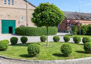 Vacation apartment/apartment for 6 guests with 100m² in Westermarkelsdorf (51539)