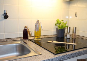 Vacation apartment/apartment for 4 guests with 50m² in Grönwohldshorst (111023)