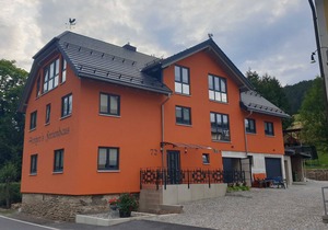 Vacation apartment 2 - Holiday home - Hotel Steiger