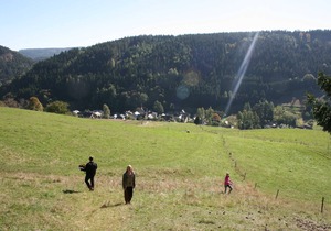 Vacation apartment 2 - Holiday home - Hotel Steiger