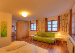 Vacation apartment/apartment for 4 guests with 47m² in Zammerberg (124234)