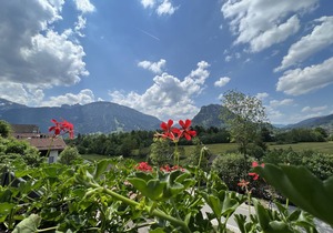 Vacation apartment "Bergsonnenappartement II"