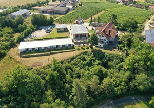Vacation apartment "Scheurebe" (45sqm)