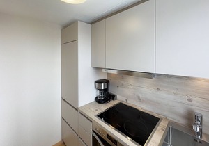 Vacation apartment *Gaubenkieker*