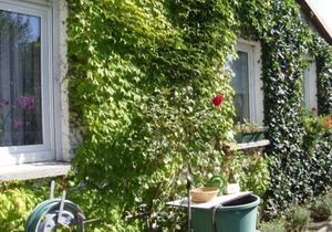 Vacation apartment Mirow (22205) - Holiday apartment