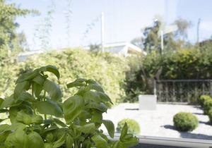 Vacation bungalow with terrace at Zwergenweg 2b in Grömitz-Lensterstrand